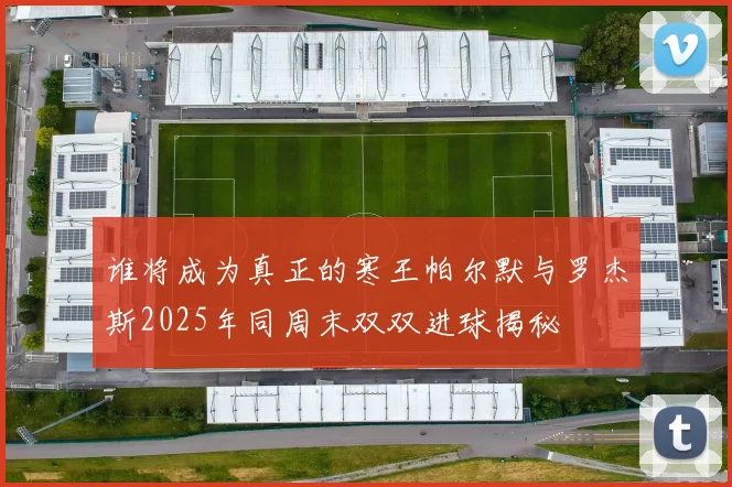 谁将成为真正的寒王帕尔默与罗杰斯2025年同周末双双进球揭秘