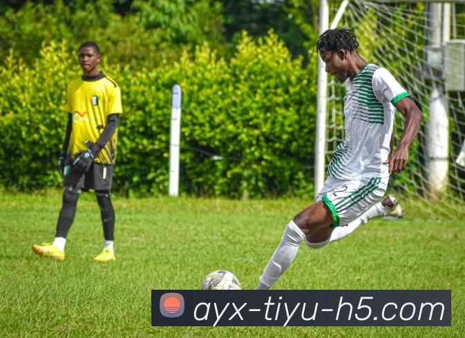 爱游戏发展历程